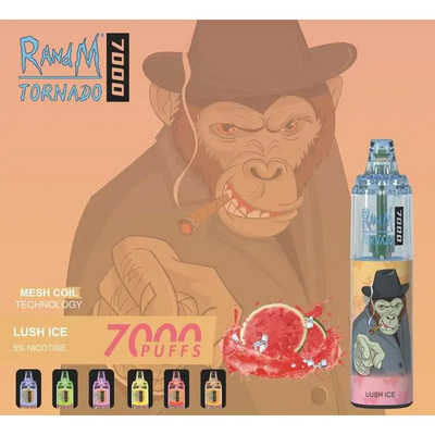 Les souffles jetables faits sur commande 45 du vaporisateur 7000 de 14ML RADNM Vape assaisonne le clope d'E