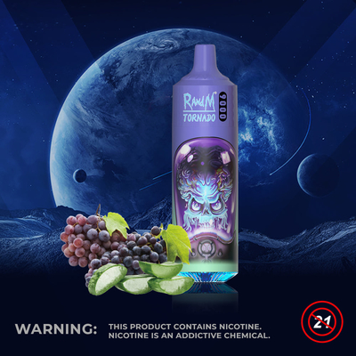2023   100% de vente supérieur chaud de Vape de tornade de RandM 9000 de   de produits nouveaux
