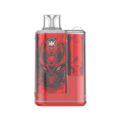 Plume vaporisateur jetable rechargeable ECK KK 12000 Puffs 5% nicotine Vapes au goût délicieux