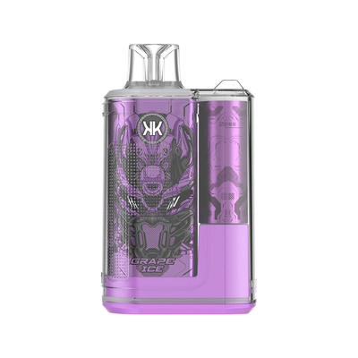 Plume vaporisateur jetable rechargeable ECK KK 12000 Puffs 5% nicotine Vapes au goût délicieux