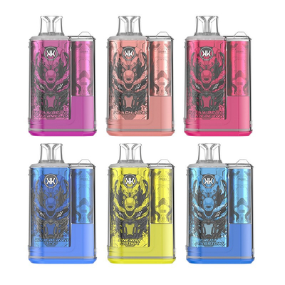 Plume vaporisateur jetable rechargeable ECK KK 12000 Puffs 5% nicotine Vapes au goût délicieux
