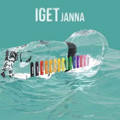 1.6ml 450 souffle Vape jetable Pen Pod Device IGET JANNA Disposable